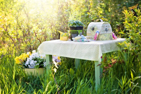 Workshop Wochenende "Arbeiten mit Wildkräutern" 24.04. - 26.04.2026 