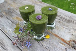 Smoothies aus Wildkräutern - lecker und gesund