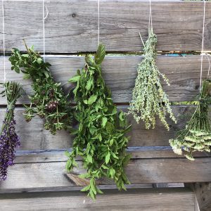Phytotherapie-Ausbildung Hybrid Komplettpreis Wittelshofen