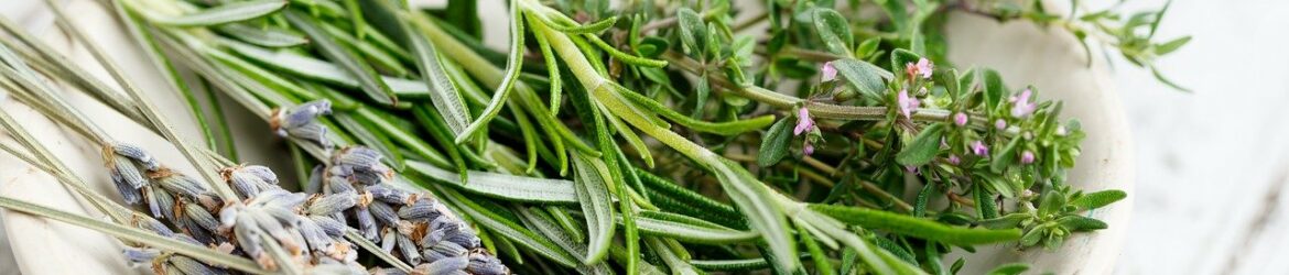 kraeuter_franzoesisch