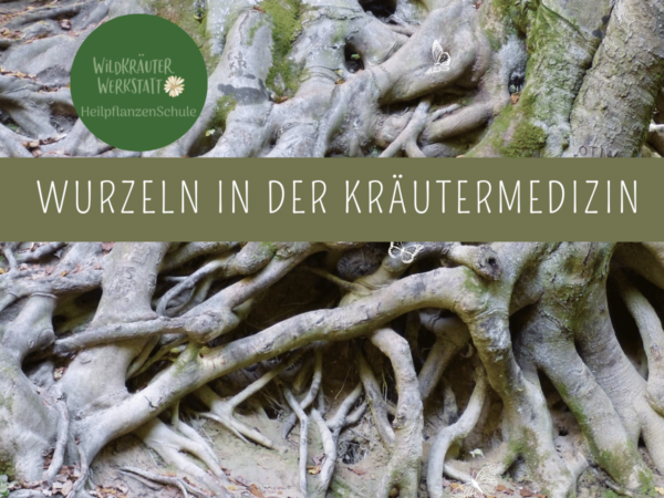 Webinar "Heilkraft der Wurzeln"