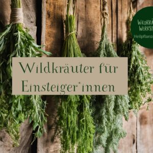 Wildkräuter für Einsteiger*innen