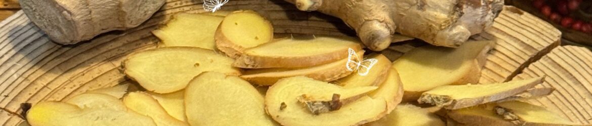 Auf einer rustikalen Holzscheibe liegen zahlreiche dünne, goldgelbe Ingwerscheiben und zwei große, ungeschälte Ingwerwurzeln. Im Hintergrund sind rote Beeren und gelbe Blüten zu sehen. Kleine weiße Schmetterlingszeichnungen schmücken das Bild. Oben rechts befindet sich das runde Logo der Wildkräuterwerkstatt. Am unteren Bildrand steht in grüner Handschrift auf hellem Hintergrund: „Ingwer – wenn süß auf scharf trifft“.