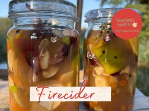 Zwei große Gläser mit selbst angesetztem Fire Cider stehen im Sonnenlicht. Im goldbraunen Apfelessig sind Stücke von Zitrusfrüchten, Zwiebel, Knoblauch, Ingwer, Kräutern und Gewürzen zu erkennen; darüber steht der Schriftzug „Firecider“ und das Logo der Wildkräuterwerkstatt.
